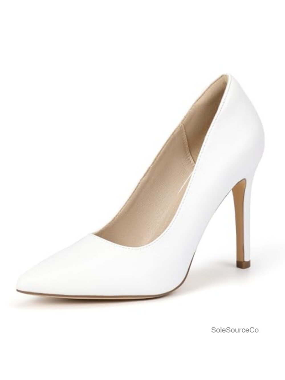 Women's Stiletto Heel Pumps Pointed Toe Closed Toe 4 Inch High Heels Dress Shoes